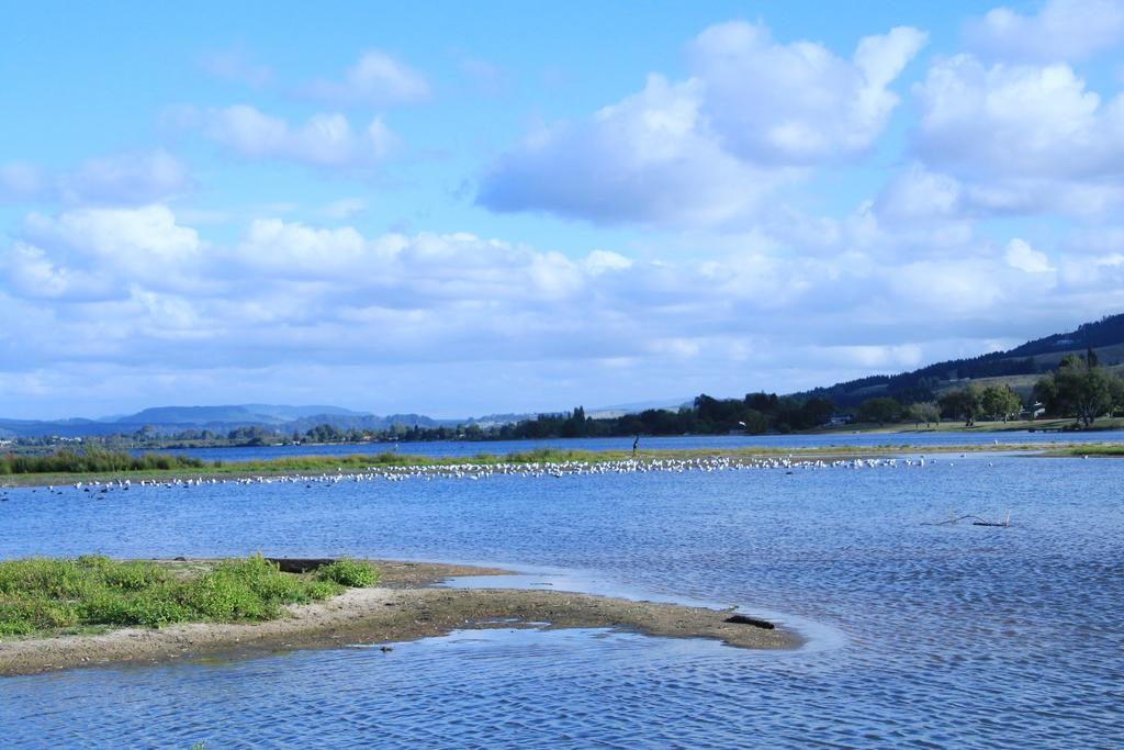 Lakeview Small Studio Rotorua Exteriér fotografie